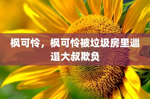 枫可怜，枫可怜被垃圾房里邋遢大叔欺负