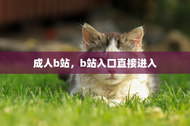 成人b站，b站入口直接进入