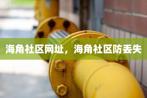 海角社区网址，海角社区防丢失