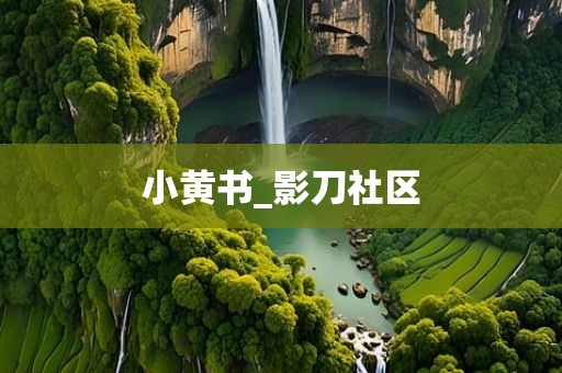 小黄书_影刀社区