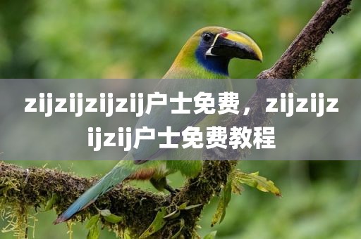 zijzijzijzij户士免费，zijzijzijzij户士免费教程
