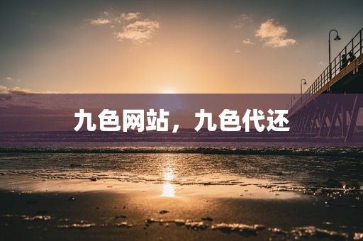 九色网站，九色代还