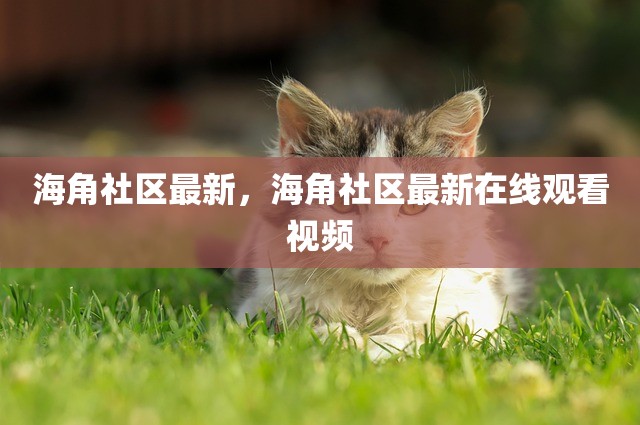海角社区最新，海角社区最新在线观看视频
