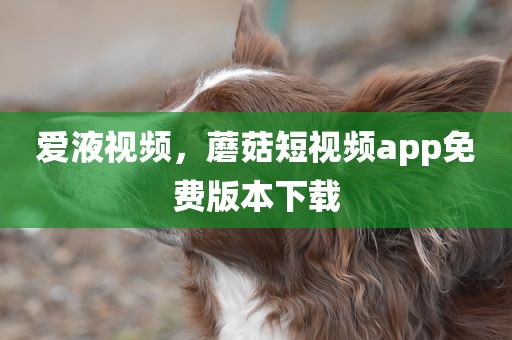 爱液视频，蘑菇短视频app免费版本下载
