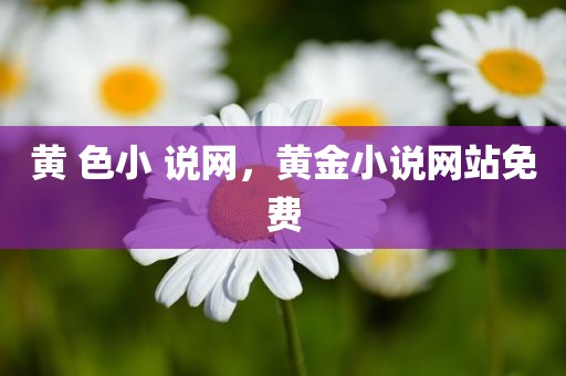 黄 色小 说网，黄金小说网站免费