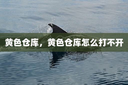 黄色仓库，黄色仓库怎么打不开