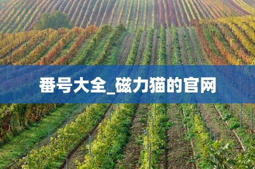 番号大全_磁力猫的官网