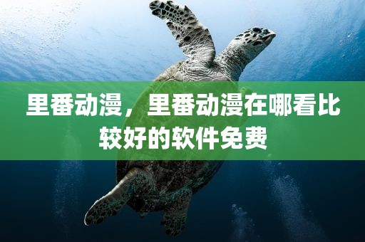 里番动漫，里番动漫在哪看比较好的软件免费