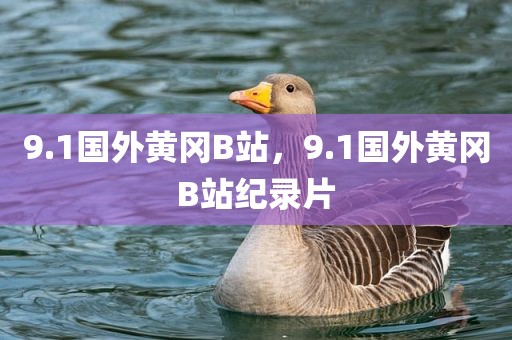 9.1国外黄冈B站，9.1国外黄冈B站纪录片