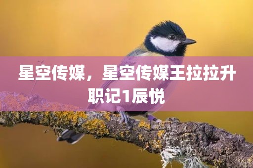 星空传媒，星空传媒王拉拉升职记1辰悦