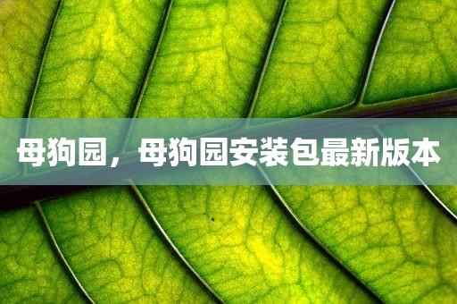 母狗园，母狗园安装包最新版本