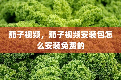 茄子视频，茄子视频安装包怎么安装免费的