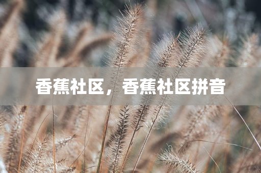 香蕉社区，香蕉社区拼音