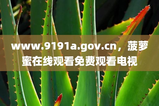 www.9191a.gov.cn，菠萝蜜在线观看免费观看电视