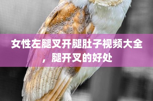 女性左腿叉开腿肚子视频大全，腿开叉的好处