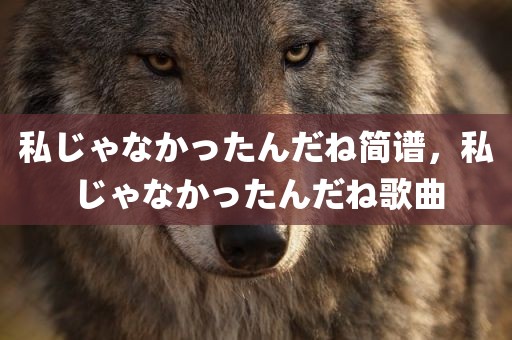 私じゃなかったんだね简谱，私じゃなかったんだね歌曲