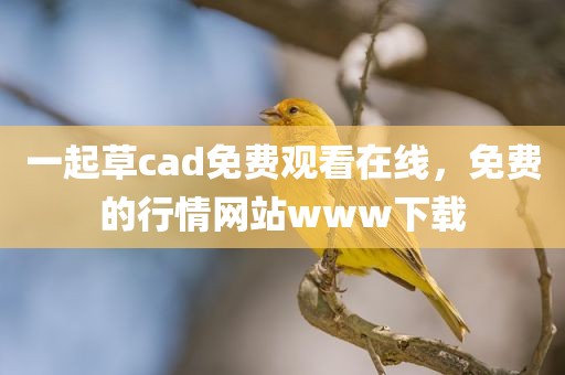 一起草cad免费观看在线，免费的行情网站www下载