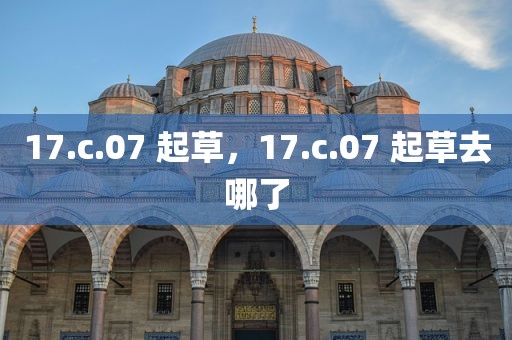 17.c.07 起草，17.c.07 起草去哪了
