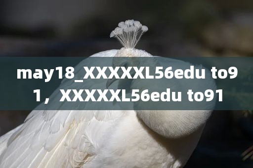 may18_XXXXXL56edu to91，XXXXXL56edu to91