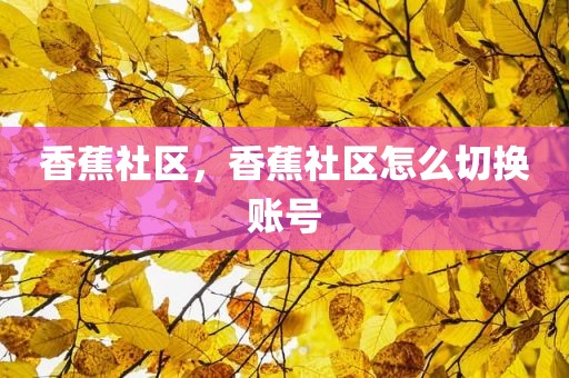 香蕉社区，香蕉社区怎么切换账号