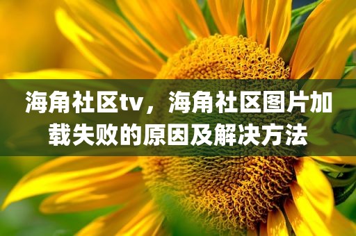 海角社区tv，海角社区图片加载失败的原因及解决方法