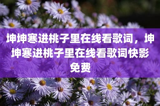 坤坤寒进桃子里在线看歌词，坤坤寒进桃子里在线看歌词快影免费