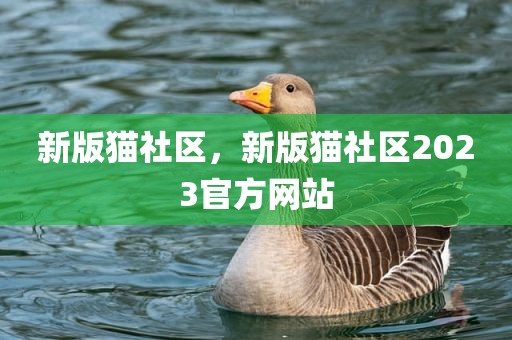 新版猫社区，新版猫社区2023官方网站