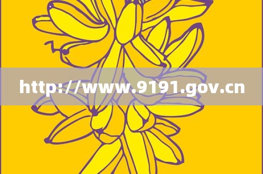 http://www.9191.gov.cn