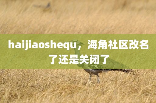 haijiaoshequ，海角社区改名了还是关闭了