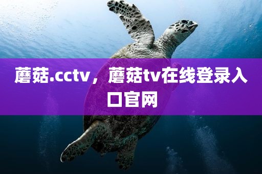 蘑菇.cctv，蘑菇tv在线登录入口官网