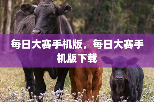 每日大赛手机版，每日大赛手机版下载