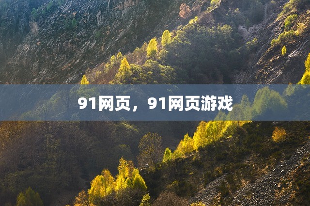 91网页，91网页游戏