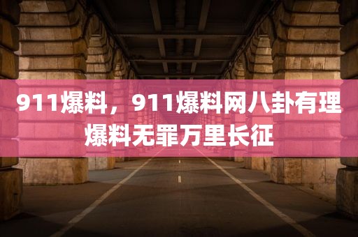 911爆料，911爆料网八卦有理爆料无罪万里长征