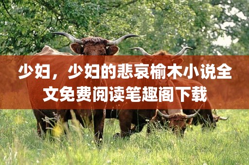 少妇，少妇的悲哀榆木小说全文免费阅读笔趣阁下载