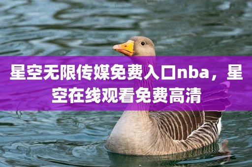 星空无限传媒免费入口nba，星空在线观看免费高清