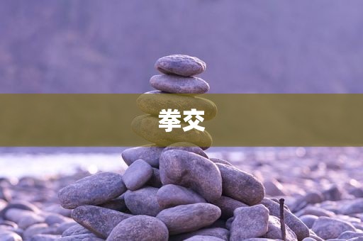 拳交