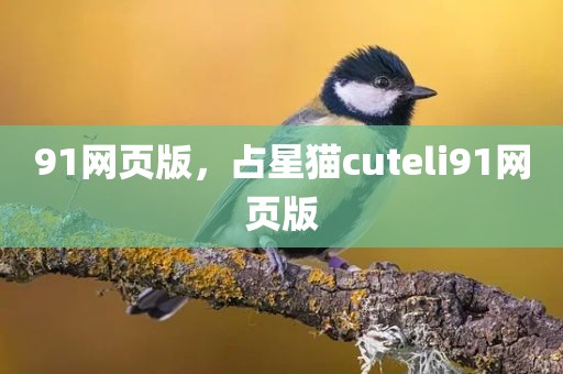 91网页版，占星猫cuteli91网页版