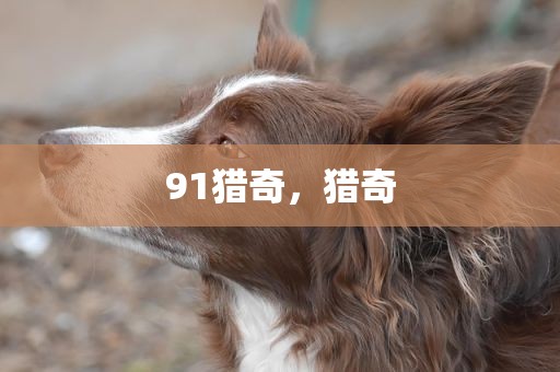 91猎奇，猎奇