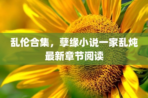 乱伦合集，孽缘小说一家乱炖最新章节阅读