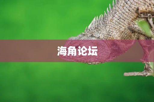海角论坛
