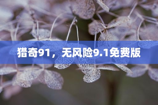 猎奇91，无风险9.1免费版