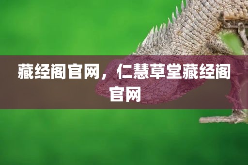 藏经阁官网，仁慧草堂藏经阁官网