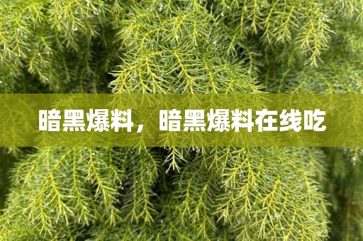 暗黑爆料，暗黑爆料在线吃