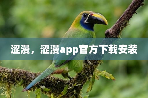 涩漫，涩漫app官方下载安装