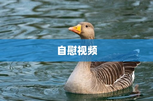 自慰视频