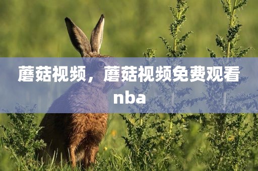 蘑菇视频，蘑菇视频免费观看nba
