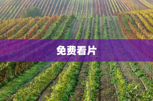 免费看片