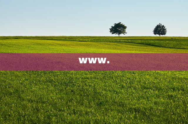 www.
