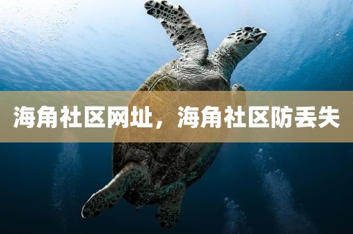 海角社区网址，海角社区防丢失