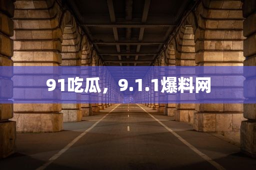 91吃瓜，9.1.1爆料网